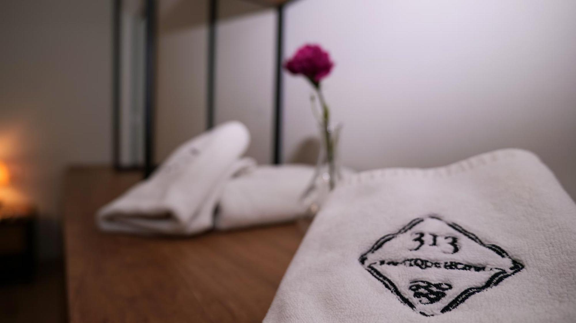 313 Villa City Center ティラナ エクステリア 写真